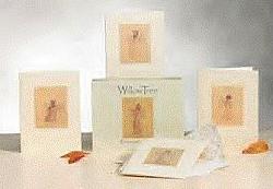 Willow Tree Card Collection-Everyday
