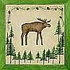High Country Moose